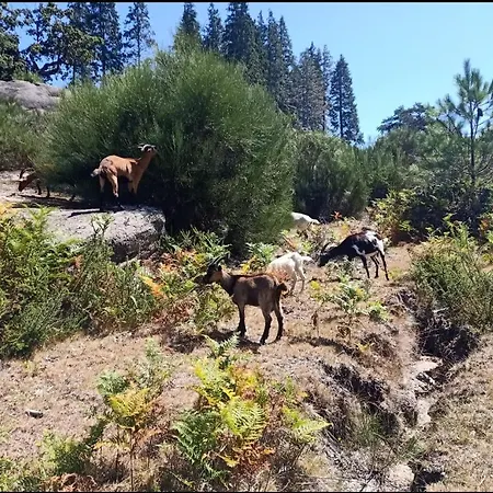 Σπίτι διακοπών Retiro Da Montanha - Geres